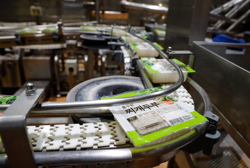 探訪進博會參展商 韓國綠色食品企業(yè)圃美多的豆腐工廠